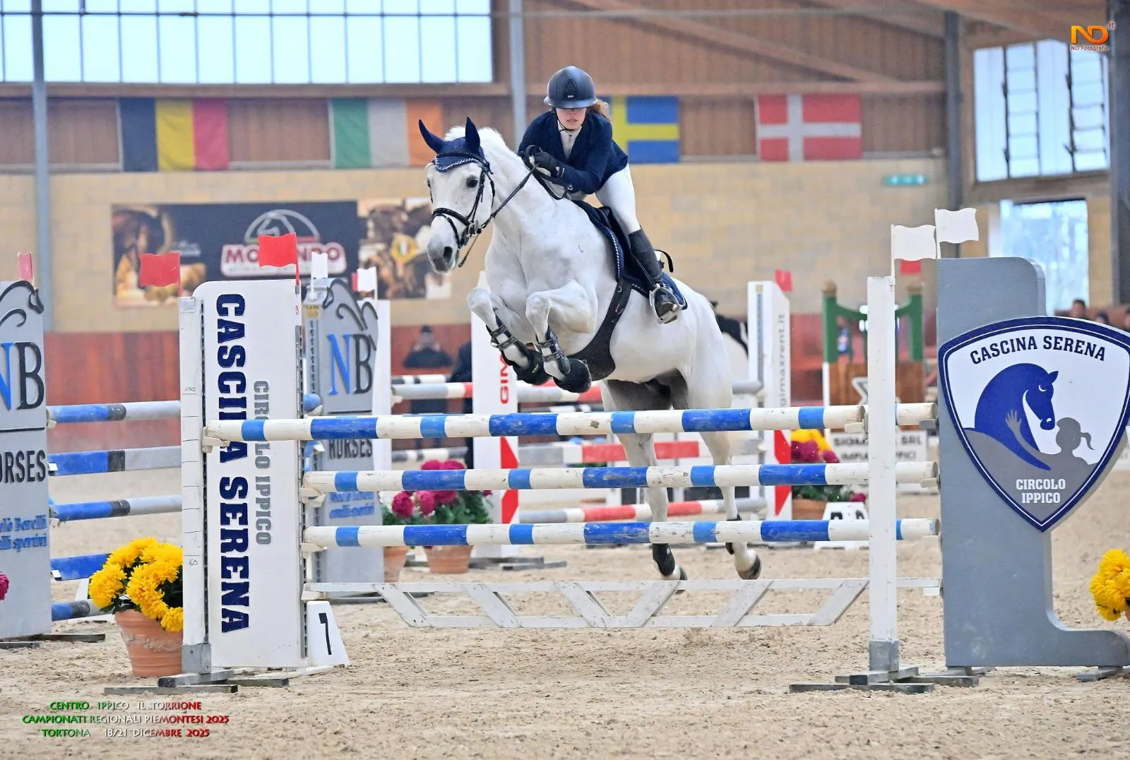 Show Jumping