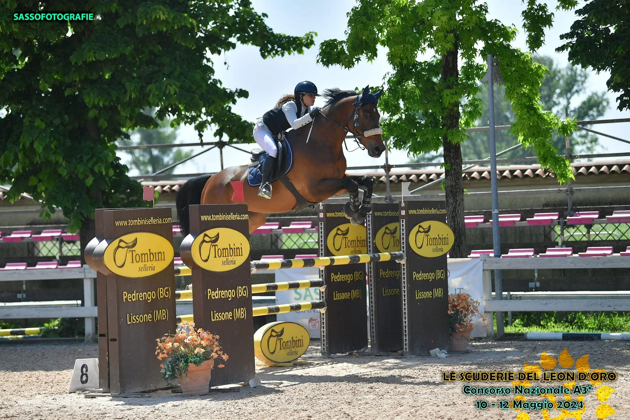 Salto ostacoli — immagine 2