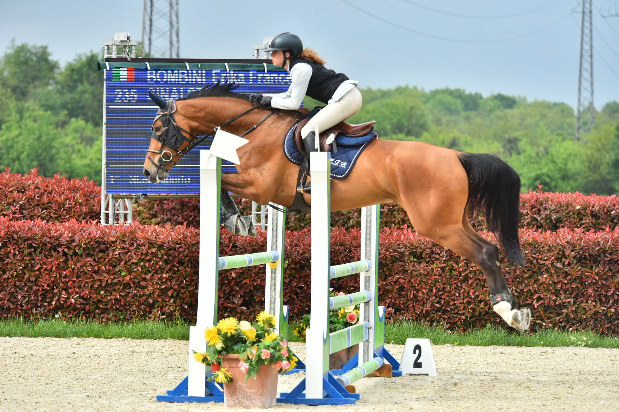Show jumping — image 3