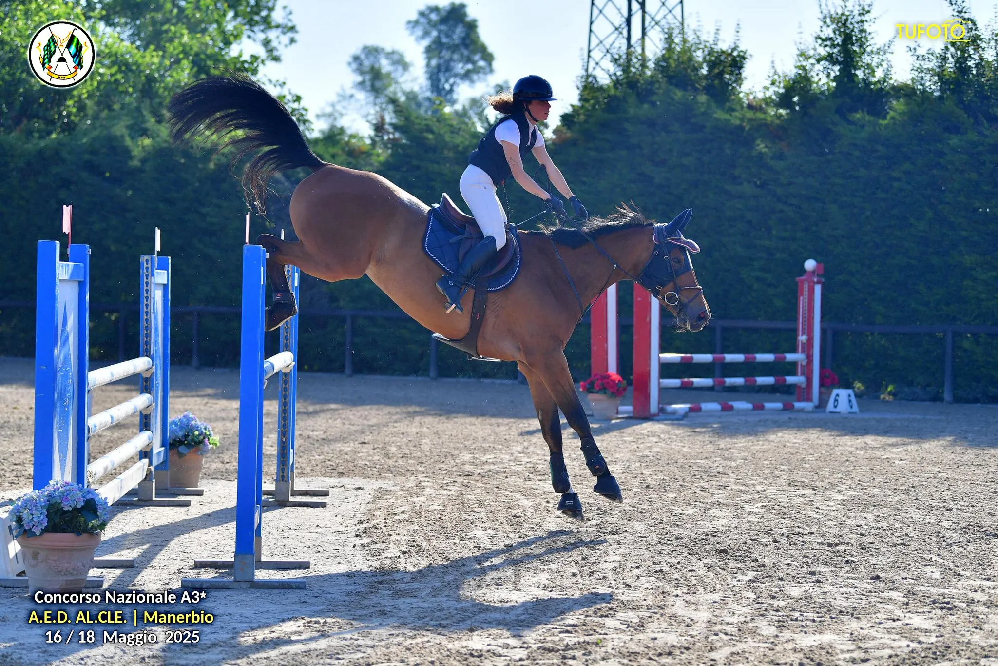 Show jumping — image 4