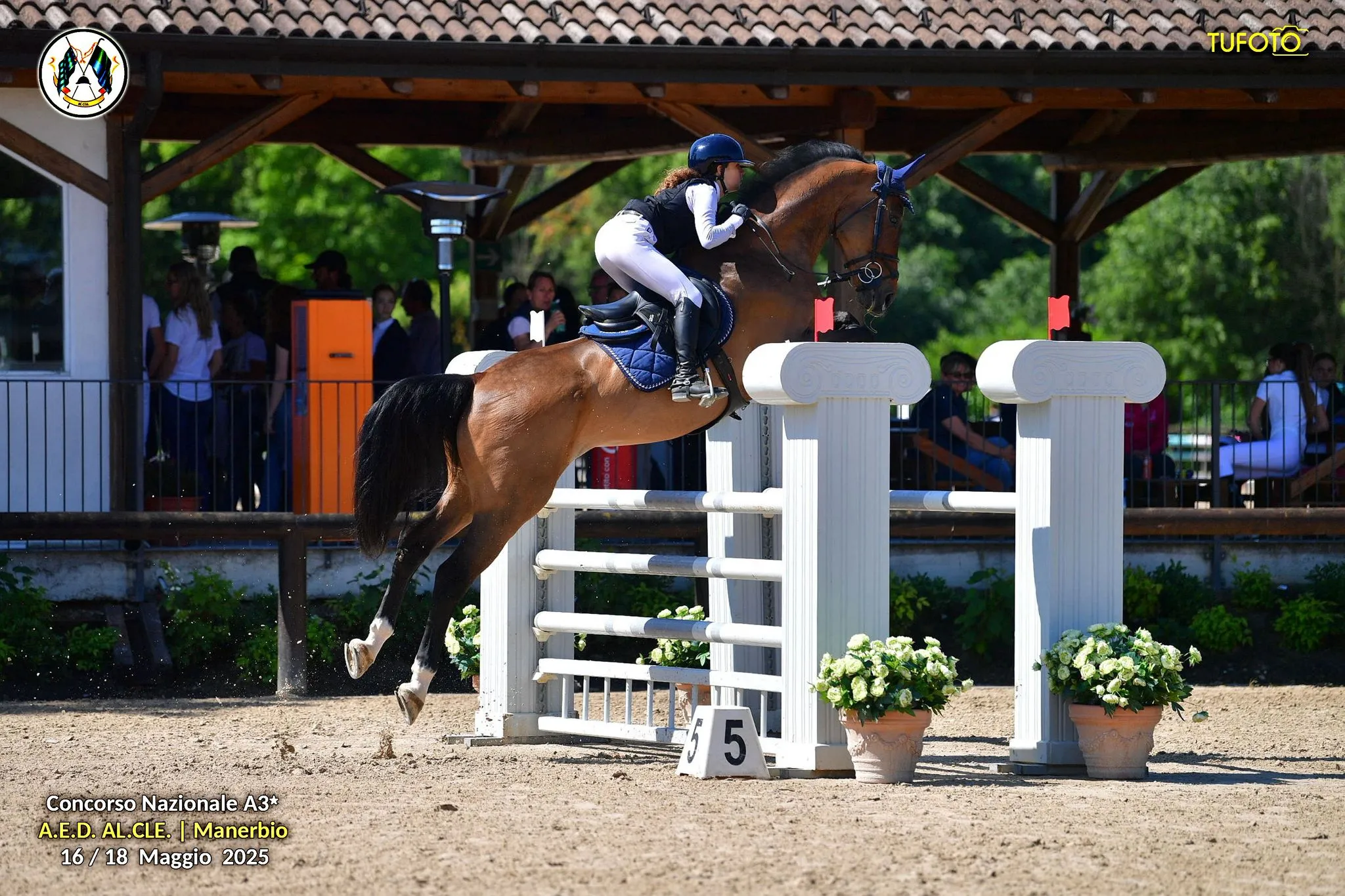 Show jumping — image 5