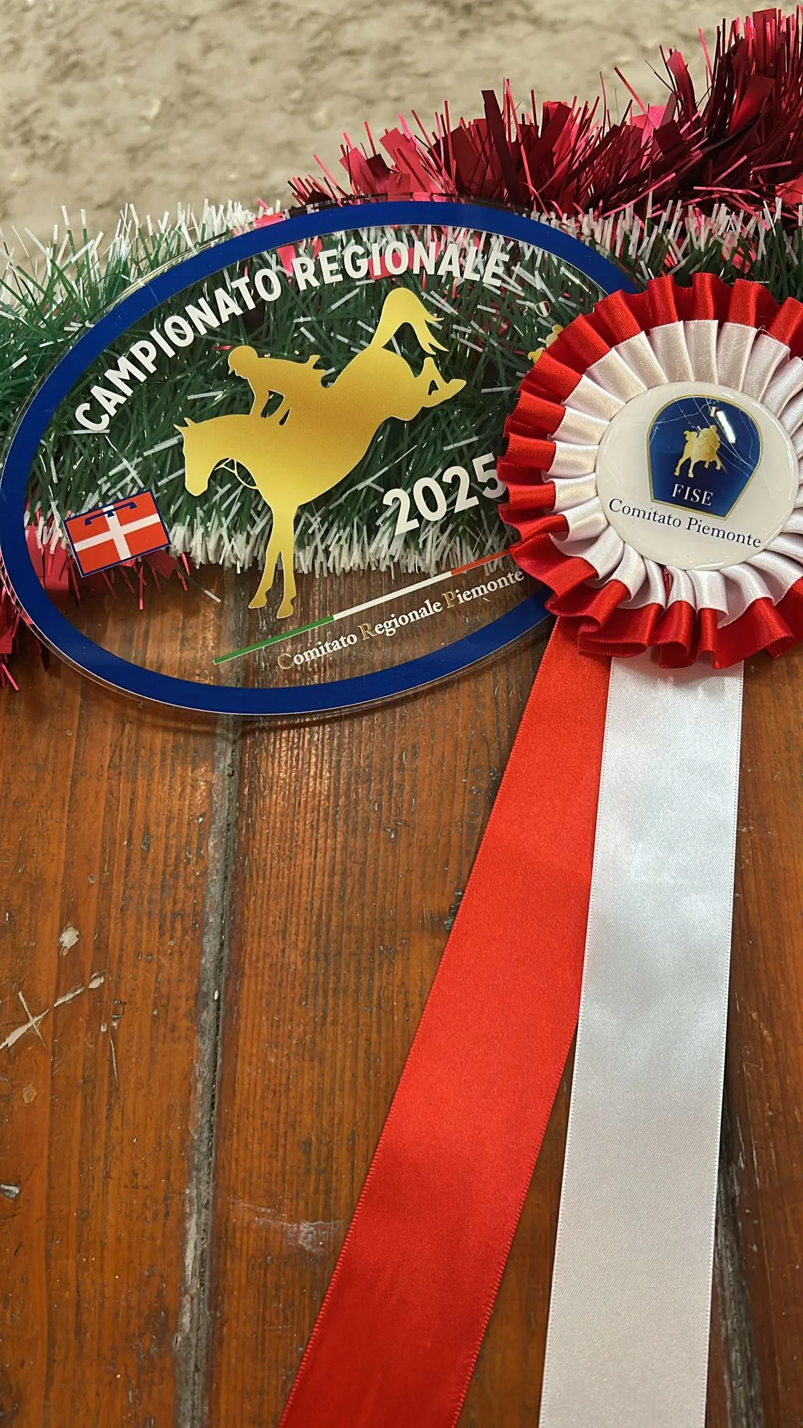 Show jumping — image 7