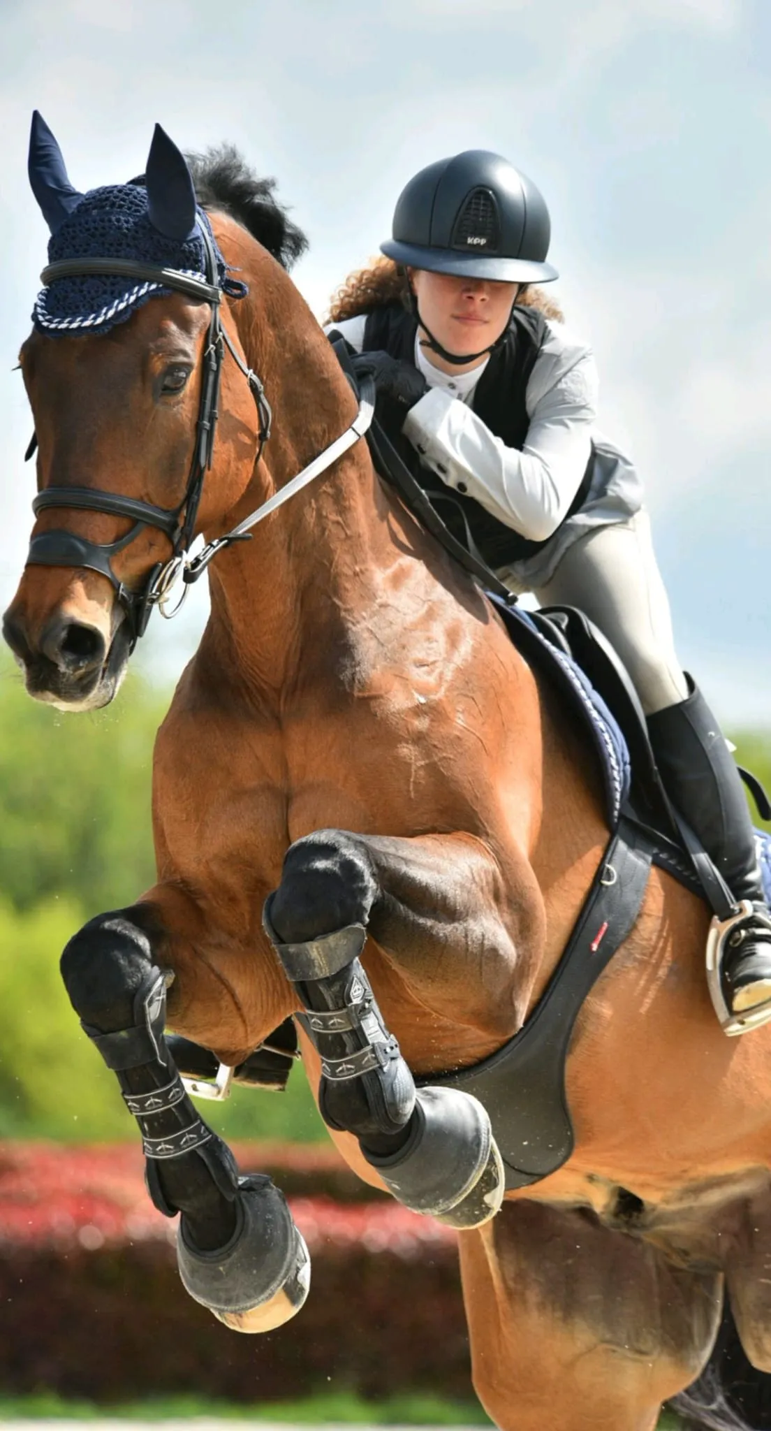 Salto ostacoli — immagine 8