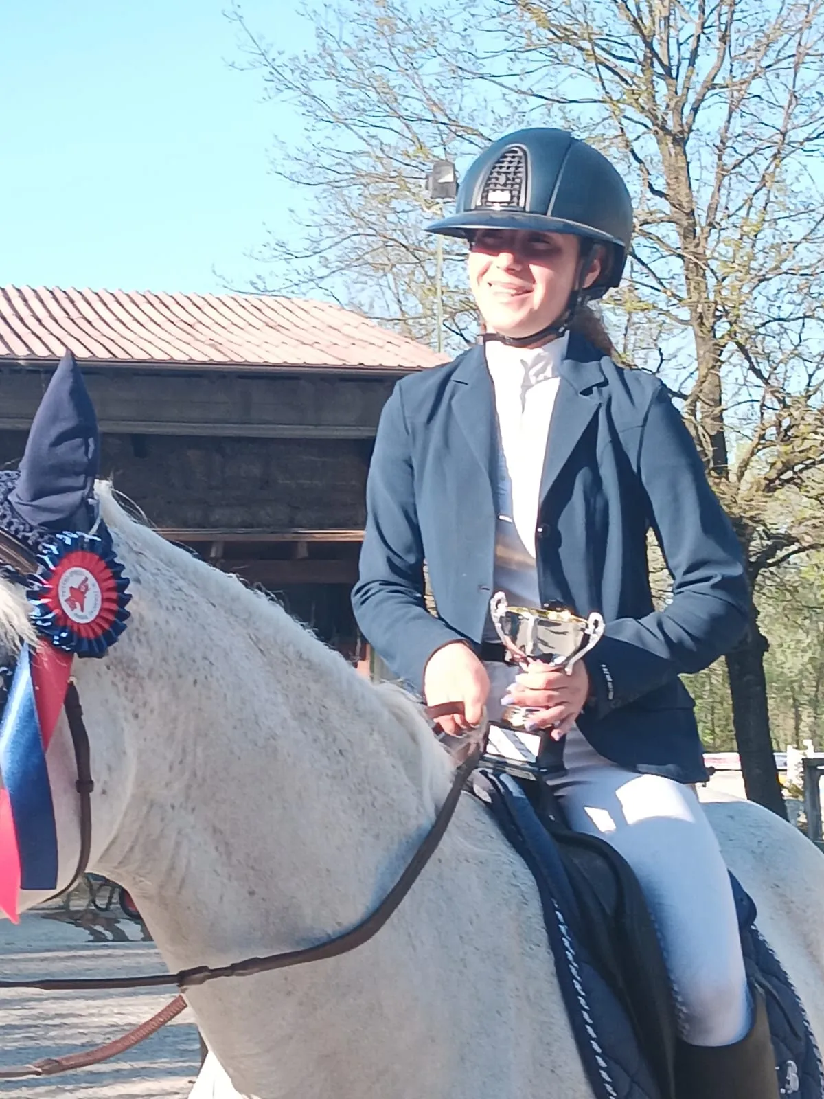 Show jumping — image 9