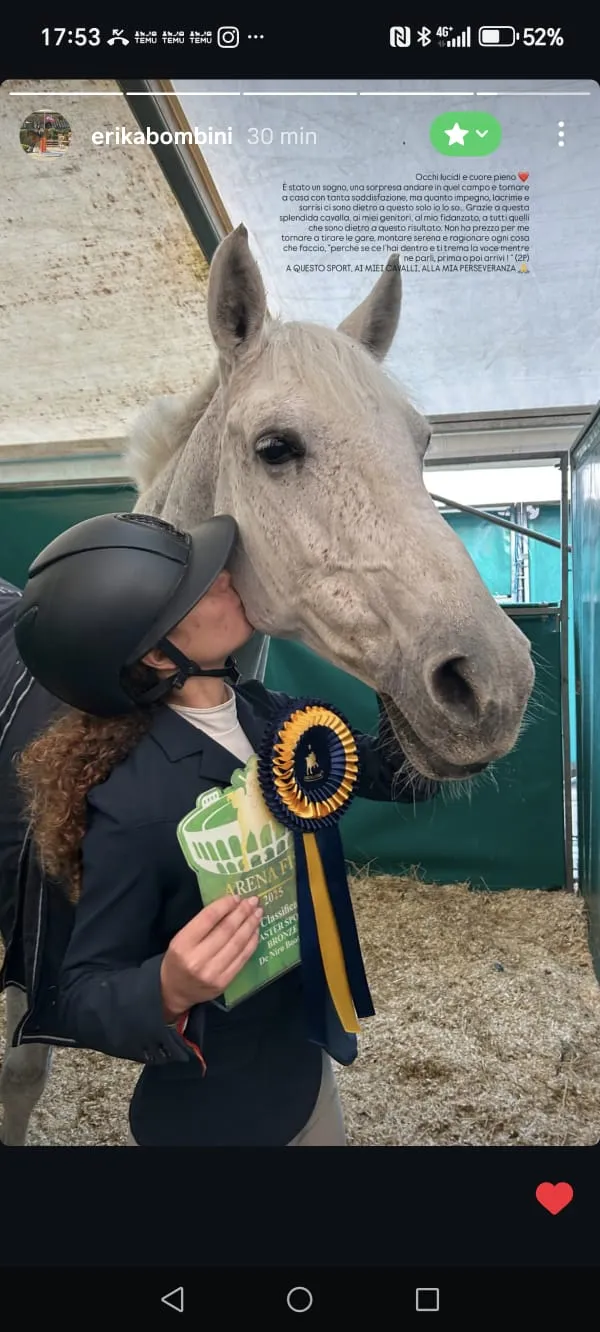 Salto ostacoli — immagine 12