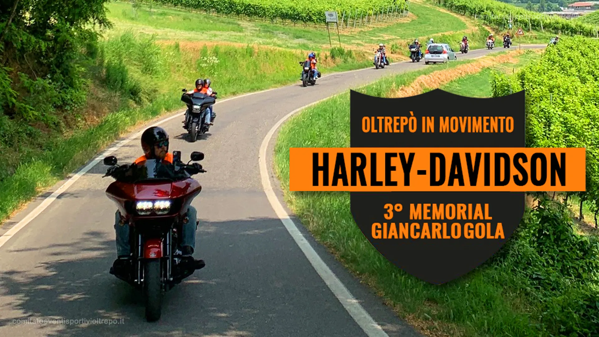 3° Anello diVino Harley