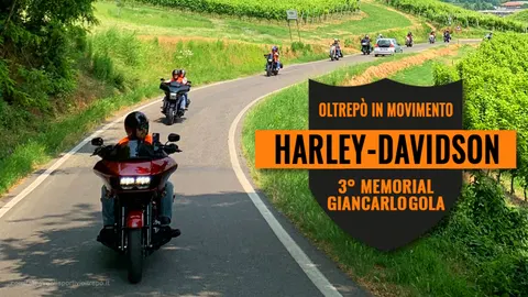 3° Anello diVino Harley