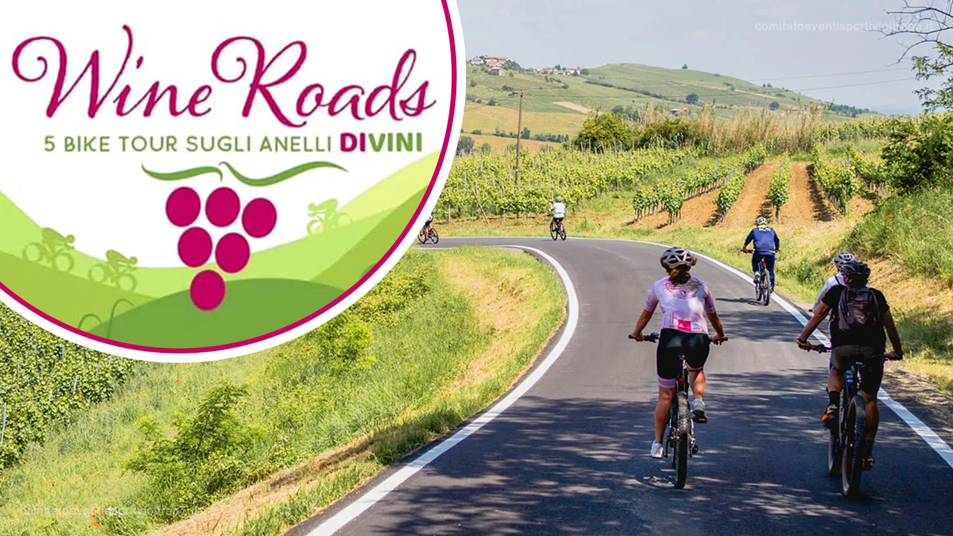 Wine Roads: Cicloturismo in Oltrepò